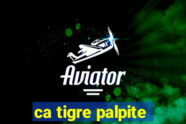 ca tigre palpite